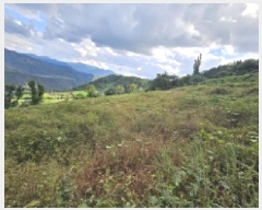  2025Ÿ��167 ��� �ܾ籺 ����� ���縮 245      ����(��1)���