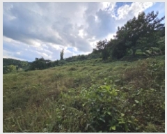  2025Ÿ��167 ��� �ܾ籺 ����� ���縮 245      ����(��1)���