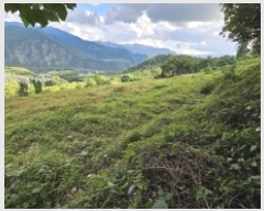  2025Ÿ��167 ��� �ܾ籺 ����� ���縮 245      ����(��1)���