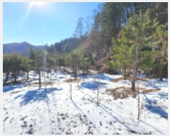  2025Ÿ��5031 ��� ��õ�� ������ ���ڸ� 1339-2      ����(��1)���