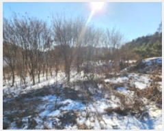  2025Ÿ��5031 ��� ��õ�� ������ ���ڸ� 1339-2      ����(��1)���