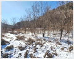  2025Ÿ��5031 ��� ��õ�� ������ ���ڸ� 1339-2      ����(��1)���