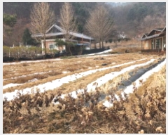  2025Ÿ��5079 ��� ��õ�� ������ ���ڸ� 611-4      ���ð��