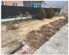  2025Ÿ��5079 ��� ��õ�� ������ ���ڸ� 611-4      ���ð��