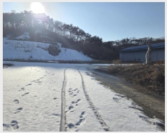  2025Ÿ5245  õ ݼ ȭ 86      