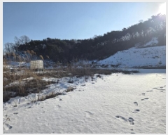  2025Ÿ5245  õ ݼ ȭ 86      