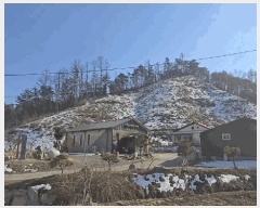  2025Ÿ5249  ܾ籺  ̰ 41      (Ӿ)