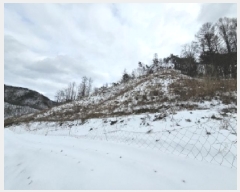  2025Ÿ5249  ܾ籺  ̰ 41      (Ӿ)