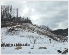  2025Ÿ5249  ܾ籺  ̰ 41      (Ӿ)