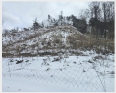  2025Ÿ5249  ܾ籺  ̰ 41      (Ӿ)