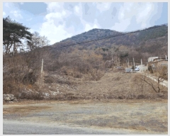  2025Ÿ��5259 ��� ��õ�� ûǳ�� ��� 204      ����(�Ӿ�)���