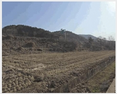  2025Ÿ5271  õ ݼ  184-1      ()