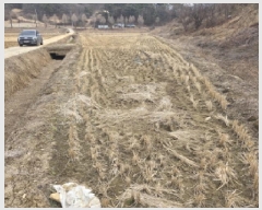  2025Ÿ5271  õ ݼ  184-1      ()