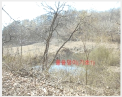  2025Ÿ��5283  �����