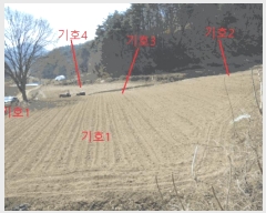  2025Ÿ��5283  �����