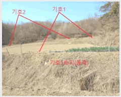  2025Ÿ��5283  �����