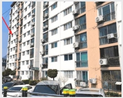  2025Ÿ5287  ܾ籺 ܾ  955 6601ȣ     Ʈ