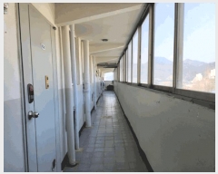  2025Ÿ5287  ܾ籺 ܾ  955 6601ȣ     Ʈ