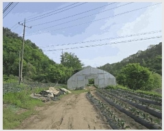  2025Ÿ5301  õ ݼ Ȱ긮 129      (1)