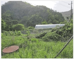  2025Ÿ5301  õ ݼ Ȱ긮 129      (1)