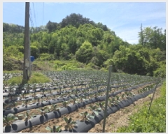  2025Ÿ5301  õ ݼ Ȱ긮 129      (1)