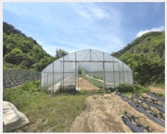  2025Ÿ5301  õ ݼ Ȱ긮 129      (1)