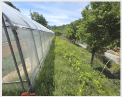  2025Ÿ5301  õ ݼ Ȱ긮 129      (1)