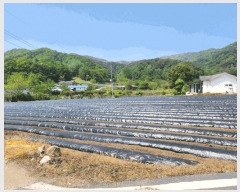  2025Ÿ5311  õ ݼ  286      (1)