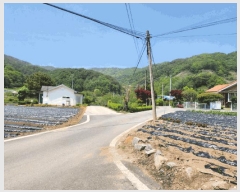  2025Ÿ5311  õ ݼ  286      (1)