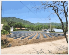  2025Ÿ5311  õ ݼ  286      (1)