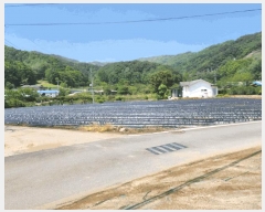  2025Ÿ5311  õ ݼ  286      (1)