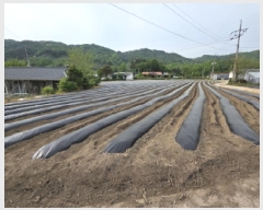  2025Ÿ5311  õ ݼ  286      (1)