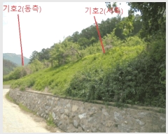  2025Ÿ5317  ܾ籺 밭 ű 62-1      (1)