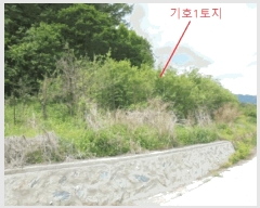  2025Ÿ5317  ܾ籺 밭 ű 62-1      (1)