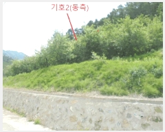  2025Ÿ5317  ܾ籺 밭 ű 62-1      (1)