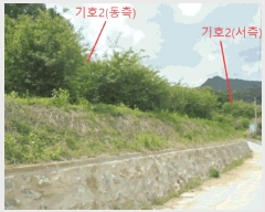  2025Ÿ5317  ܾ籺 밭 ű 62-1      (1)