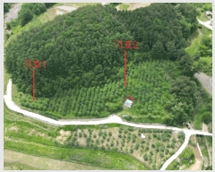  2025Ÿ5317  ܾ籺 밭 ű 62-1      (1)