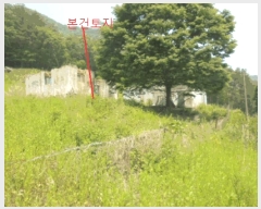  2025Ÿ��5323  �������