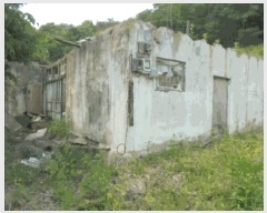  2025Ÿ��5323  �������