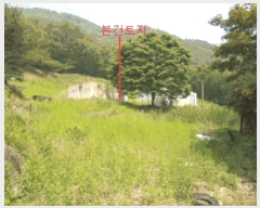  2025Ÿ��5323  �������