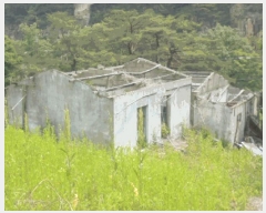  2025Ÿ��5323  �������