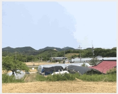  2025Ÿ5327  õ 漮 156-10       (Ӿ)