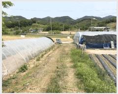  2025Ÿ5327  õ 漮 156-10       (Ӿ)