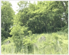  2025Ÿ5327  õ 漮 156-10       (Ӿ)