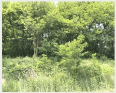  2025Ÿ5327  õ 漮 156-10       (Ӿ)