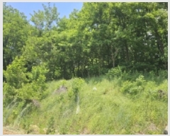  2025Ÿ5327  õ 漮 156-10       (Ӿ)