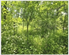  2025Ÿ5327  õ 漮 156-10       (Ӿ)