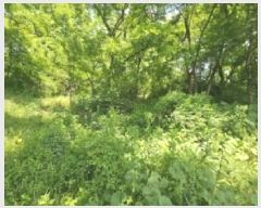  2025Ÿ5327  õ 漮 156-10       (Ӿ)