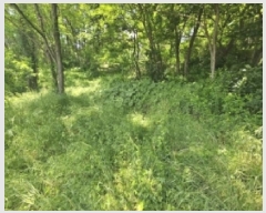  2025Ÿ5327  õ 漮 156-10       (Ӿ)