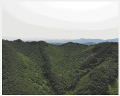  2025Ÿ5331  ܾ籺   101      (Ӿ)